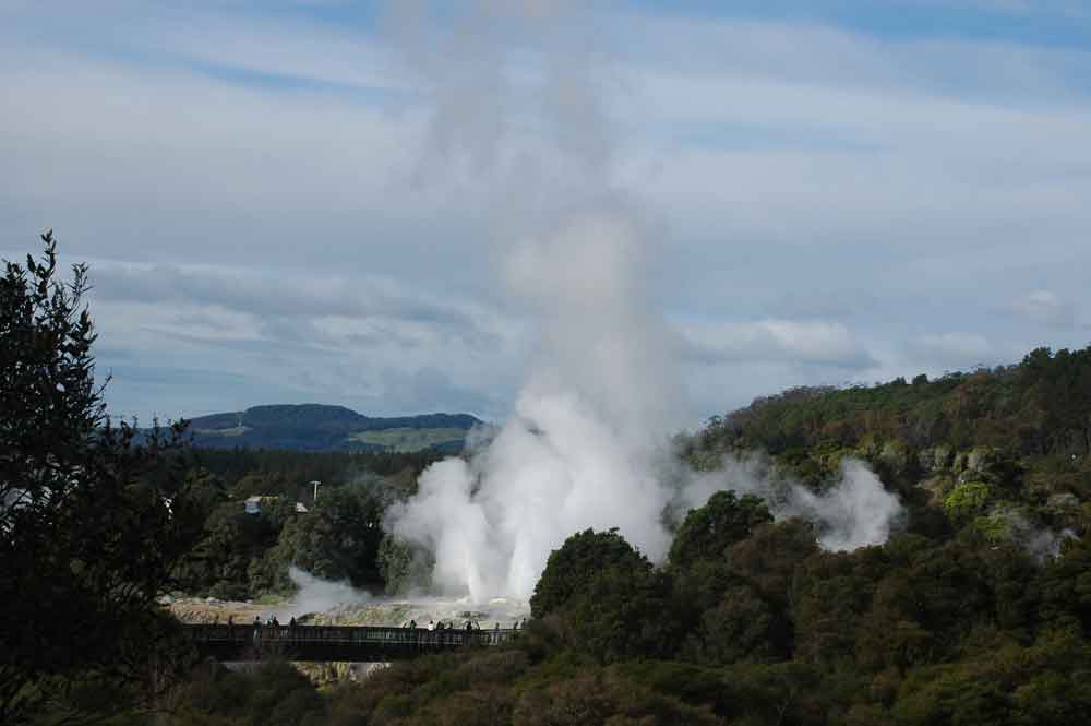 57 - Nueva Zelanda - Rotorua, Te Puia, geiser plumas del principe de Gales